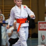Wiener Karate Meisterschaft 2025