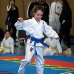 Wiener Karate Meisterschaft 2025