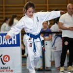 Wiener Karate Meisterschaft 2025