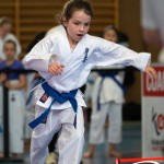 Wiener Karate Meisterschaft 2025