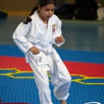 Wiener Karate Meisterschaft 2025