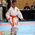 Wiener Karate Meisterschaft 2025