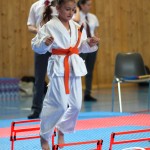 Wiener Karate Meisterschaft 2025