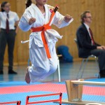 Wiener Karate Meisterschaft 2025