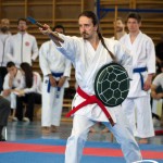 Wiener Karate Meisterschaft 2025