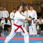 Wiener Karate Meisterschaft 2025