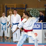 Wiener Karate Meisterschaft 2025