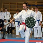 Wiener Karate Meisterschaft 2025