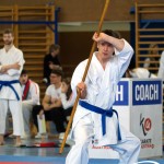 Wiener Karate Meisterschaft 2025