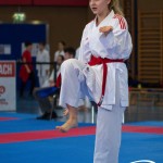 Wiener Karate Meisterschaft 2025