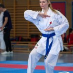 Wiener Karate Meisterschaft 2025