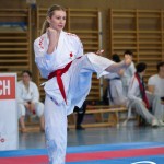 Wiener Karate Meisterschaft 2025