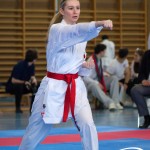 Wiener Karate Meisterschaft 2025