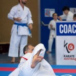 Wiener Karate Meisterschaft 2025
