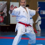 Wiener Karate Meisterschaft 2025