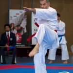 Wiener Karate Meisterschaft 2025