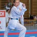 Wiener Karate Meisterschaft 2025