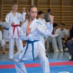 Wiener Karate Meisterschaft 2025