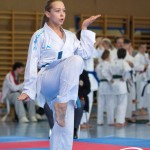 Wiener Karate Meisterschaft 2025