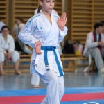 Wiener Karate Meisterschaft 2025