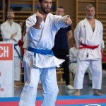 Wiener Karate Meisterschaft 2025