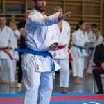 Wiener Karate Meisterschaft 2025