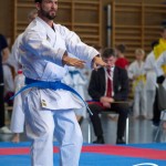 Wiener Karate Meisterschaft 2025