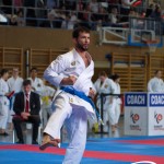 Wiener Karate Meisterschaft 2025