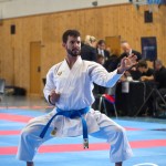 Wiener Karate Meisterschaft 2025