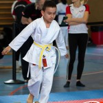 Wiener Karate Meisterschaft 2025