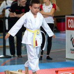 Wiener Karate Meisterschaft 2025