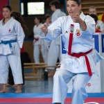 Wiener Karate Meisterschaft 2025