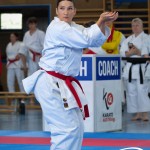 Wiener Karate Meisterschaft 2025