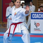 Wiener Karate Meisterschaft 2025