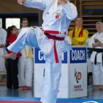 Wiener Karate Meisterschaft 2025