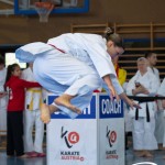 Wiener Karate Meisterschaft 2025