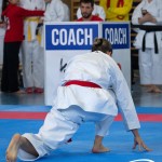 Wiener Karate Meisterschaft 2025