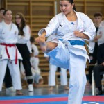 Wiener Karate Meisterschaft 2025