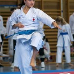 Wiener Karate Meisterschaft 2025