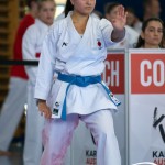 Wiener Karate Meisterschaft 2025