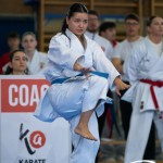 Wiener Karate Meisterschaft 2025