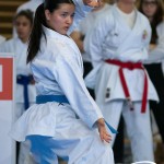 Wiener Karate Meisterschaft 2025