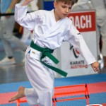 Wiener Karate Meisterschaft 2025