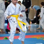 Wiener Karate Meisterschaft 2025