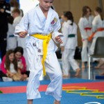 Wiener Karate Meisterschaft 2025