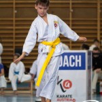 Wiener Karate Meisterschaft 2025