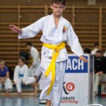 Wiener Karate Meisterschaft 2025