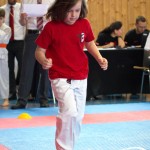 Wiener Karate Meisterschaft 2025