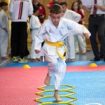 Wiener Karate Meisterschaft 2025