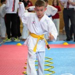 Wiener Karate Meisterschaft 2025